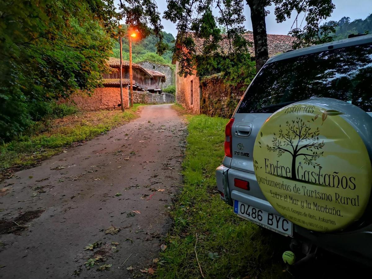 Casas Rurales Entrecastanos Onís Buitenkant foto