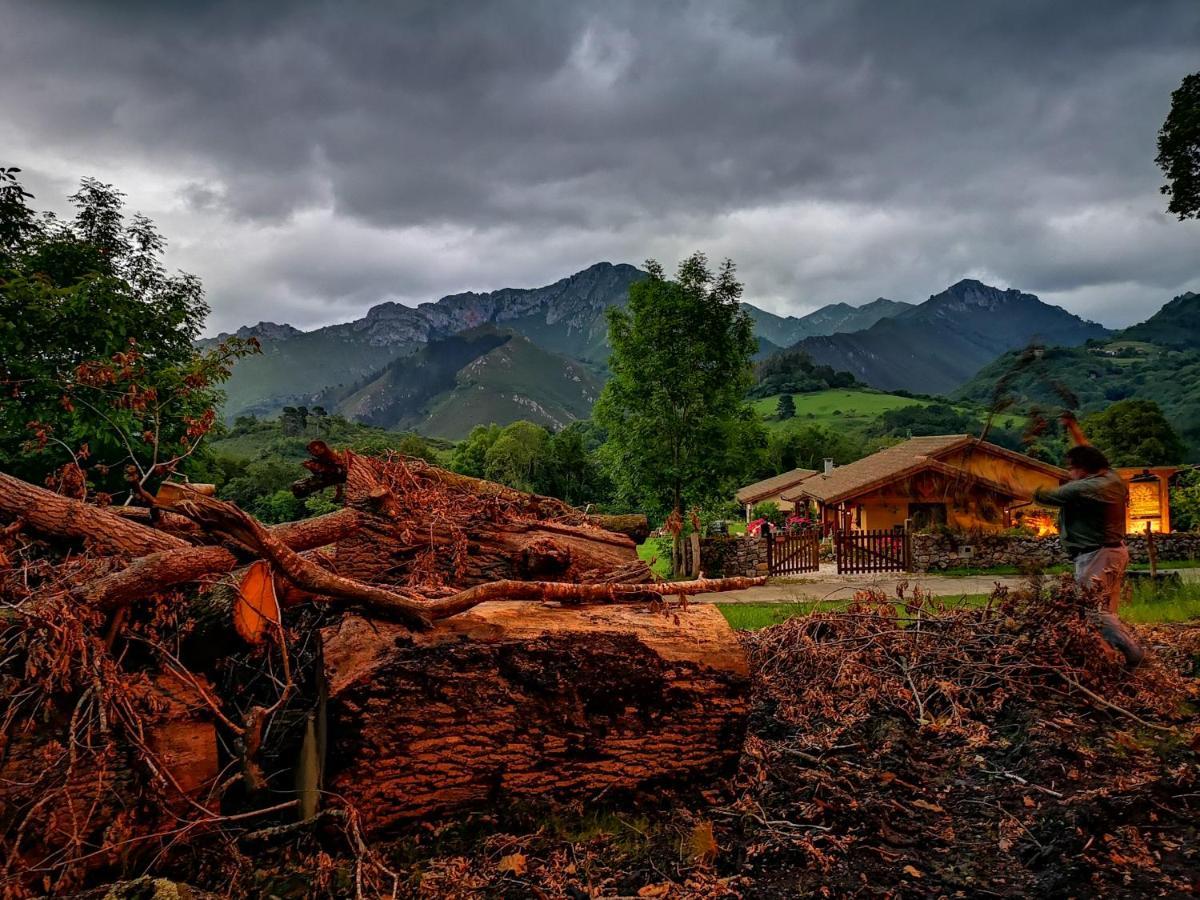 Casas Rurales Entrecastanos Onís Buitenkant foto