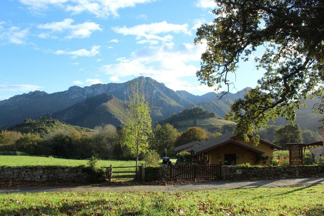 Casas Rurales Entrecastanos Onís Buitenkant foto