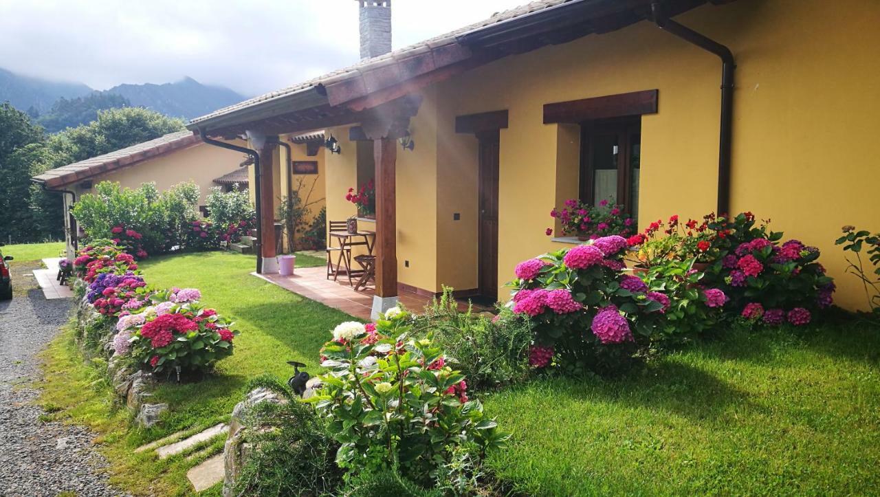 Casas Rurales Entrecastanos Onís Buitenkant foto