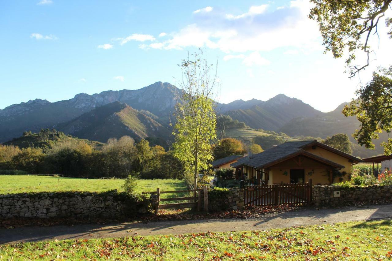 Casas Rurales Entrecastanos Onís Buitenkant foto