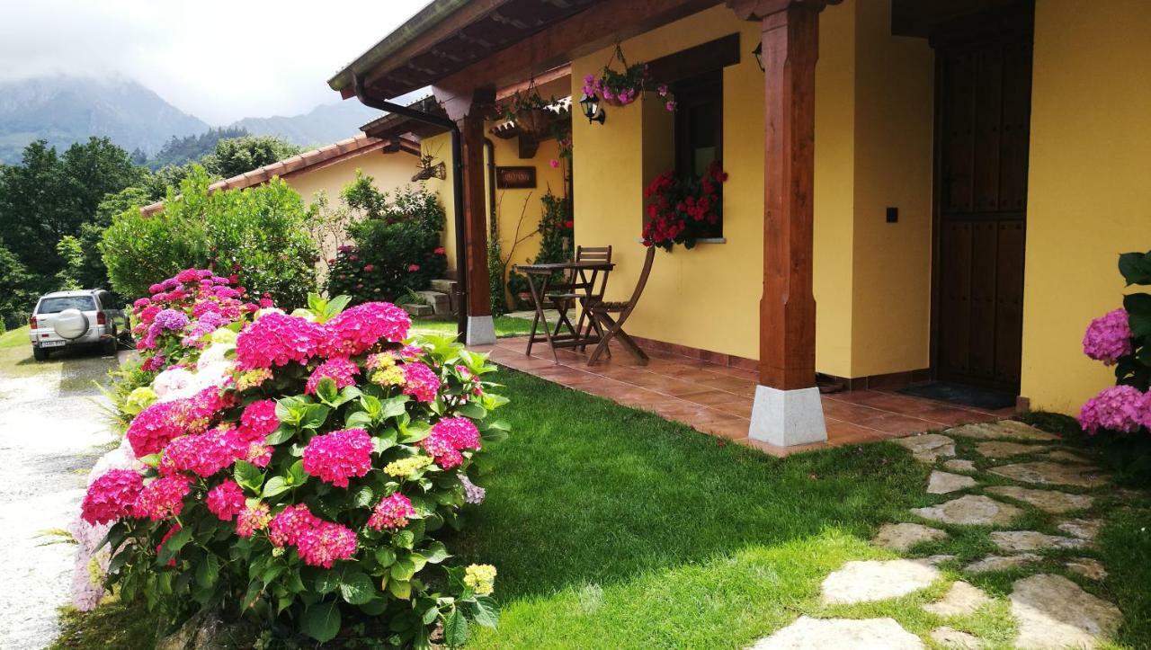 Casas Rurales Entrecastanos Onís Buitenkant foto